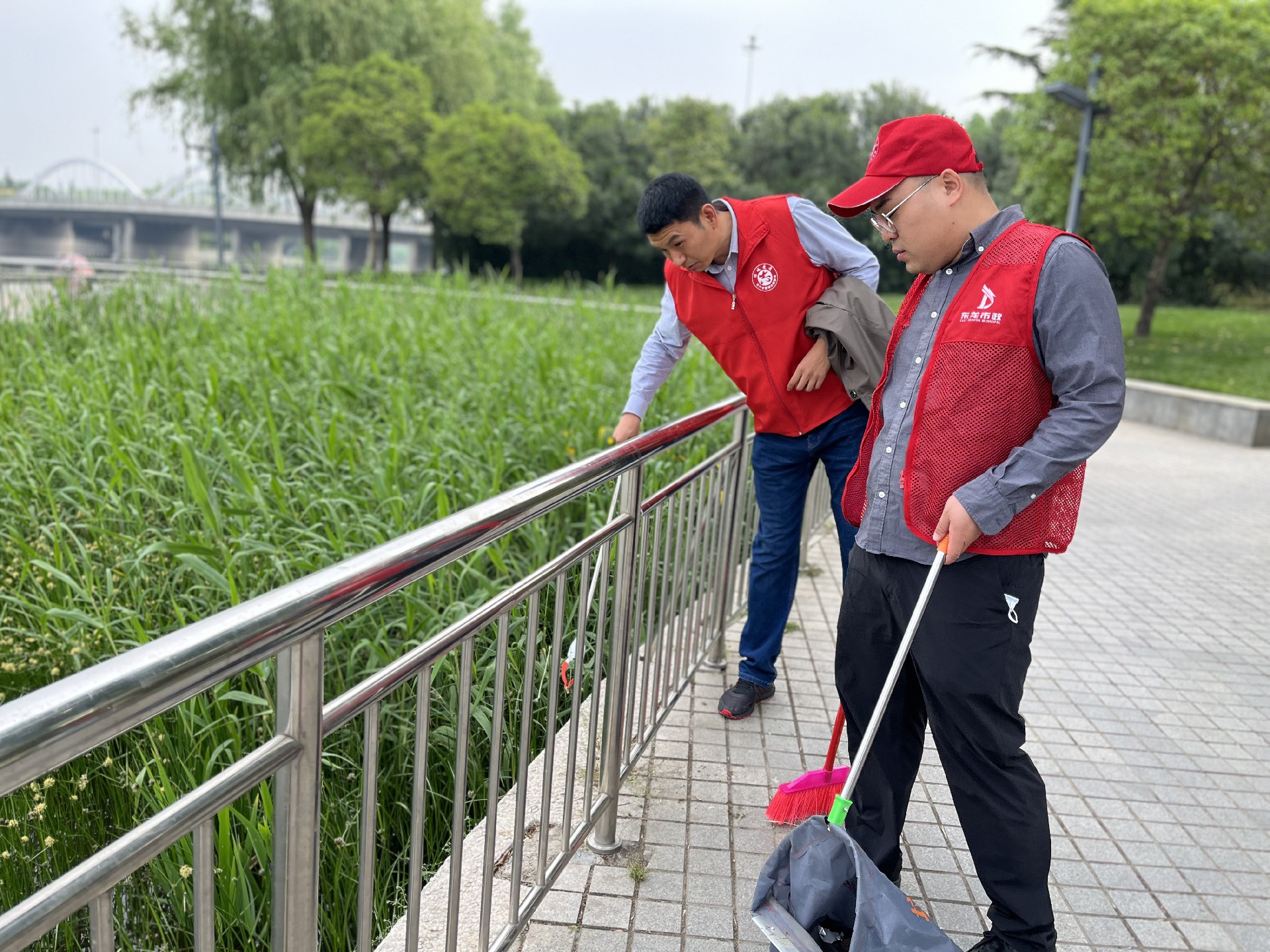 提升能力作風年建設 慶祝愛國衛生月70周年 東龍市政黨支部開展愛國衛生活動月志愿者活動